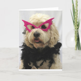 white dog,costume, funny,humour,glasses on dog, card