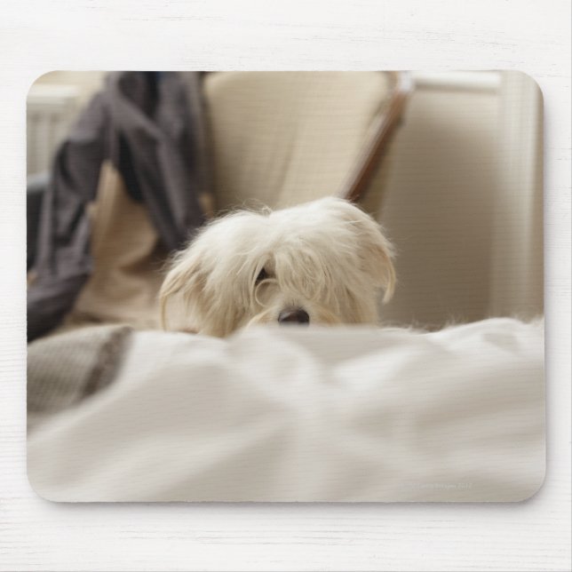 White dog hiding behind bed (differential focus) mouse pad (Front)