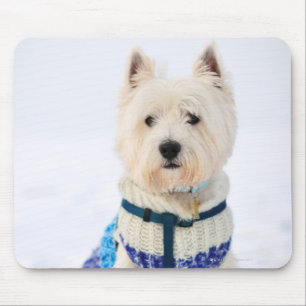 White dog in clothes in the snow. mouse pad