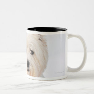 White dog in clothes in the snow. Two-Tone coffee mug