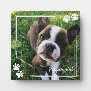 White Dog Paw Print Frame Dog Photo & Name
