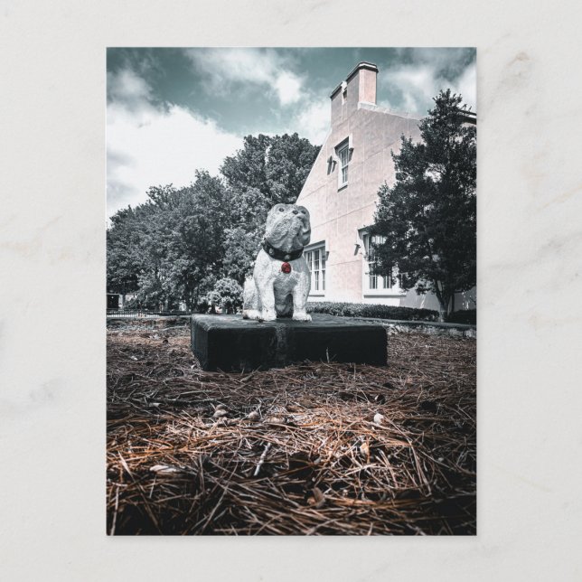 White Dog Statue on Pedestal Dramatic View Postcard (Front)