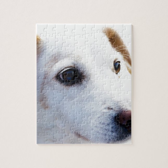 White Dog with Faithful Eyes, Animal Pets Dogs BFF Jigsaw Puzzle (Vertical)