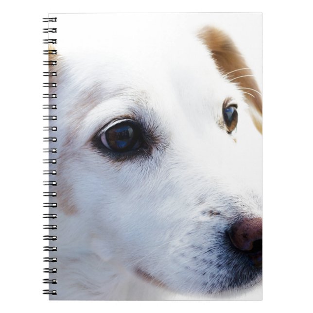 White Dog with Faithful Eyes, Animal Pets Dogs BFF Notebook (Front)