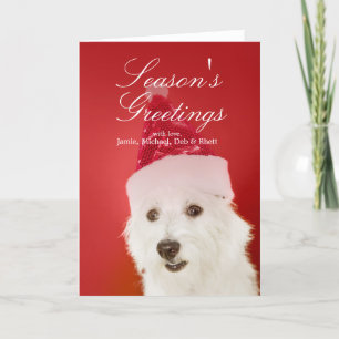White dog with Santa hat Holiday Card