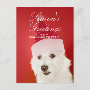 White dog with Santa hat Holiday Postcard
