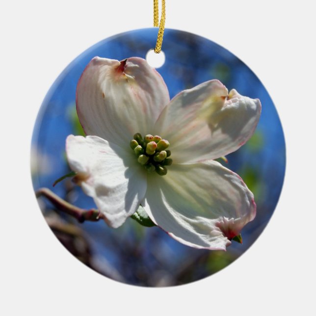 White Dogwood Flower ornament (Front)