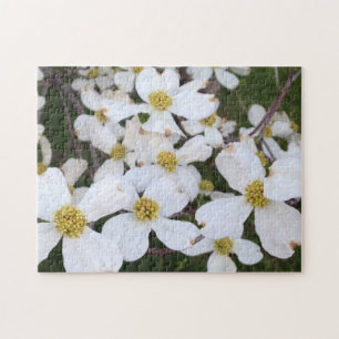 White Dogwood Flowers Photograph Puzzles