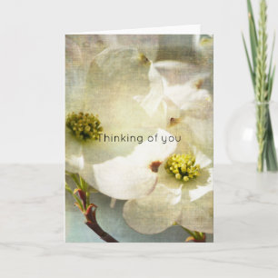 White Dogwood Flowers Thinking of you Card