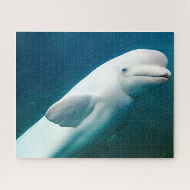 White Dolphin Jigsaw Puzzle (Horizontal)