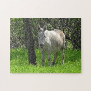 White Donkey on the Farm in the Midwest Jigsaw Puzzle