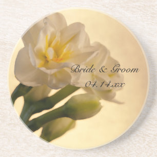 White Double Daffodils Spring Wedding Coaster