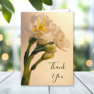 White Double Daffodils Thank You Note