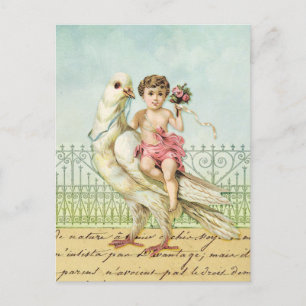White Dove and Cherub Postcard
