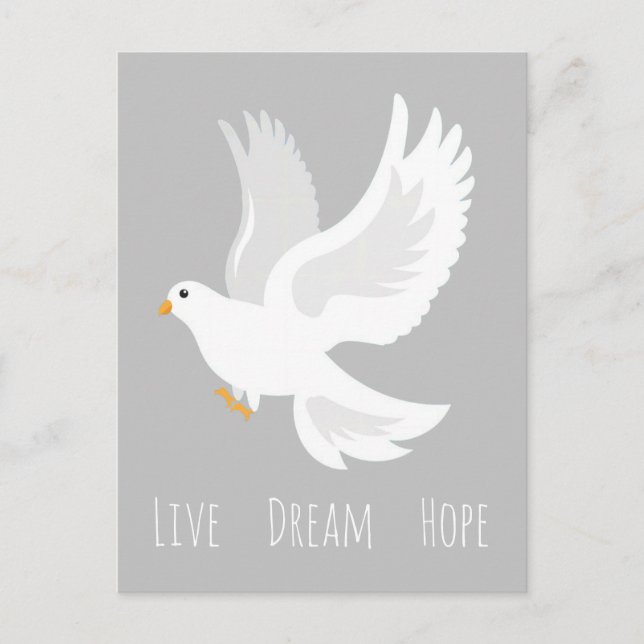 White dove bird on grey postcard (Front)