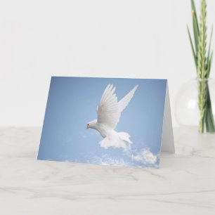 White dove blank greeting card