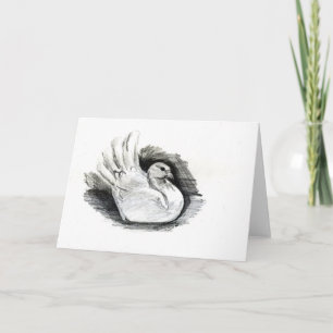 White Dove Card