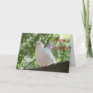 White Dove Holiday Card