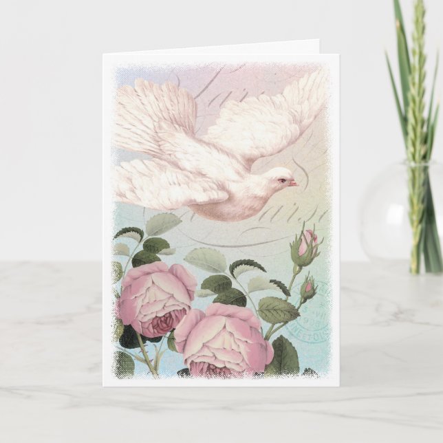 White Dove Pink Roses Sympathy or Peace Card (Front)