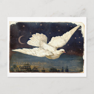 white dove postcard