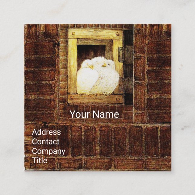 WHITE DOVES AT FARM WINDOW Yellow Brown Square Business Card (Front)