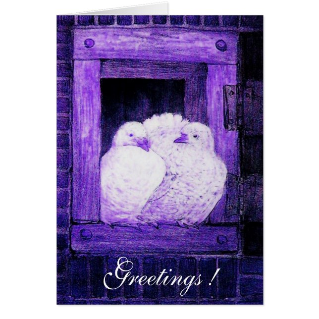 WHITE DOVES AT THE WINDOW, blue purple (Front)