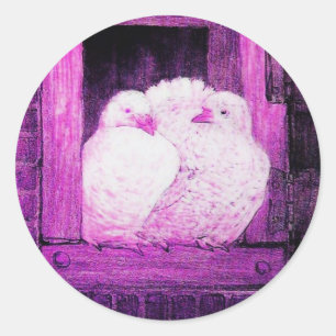 WHITE DOVES AT THE WINDOW pink violet purple Classic Round Sticker
