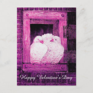 WHITE DOVES IN PINK WINDOW VALENTINE'S DAY HOLIDAY POSTCARD