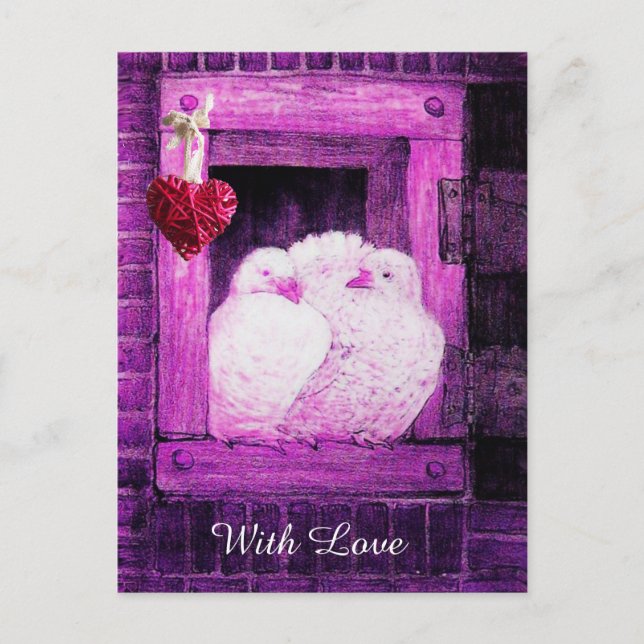 WHITE DOVES IN PINK WINDOW VALENTINE'S DAY LOVE HOLIDAY POSTCARD (Front)