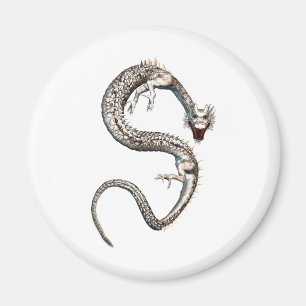 White Dragon Magnet