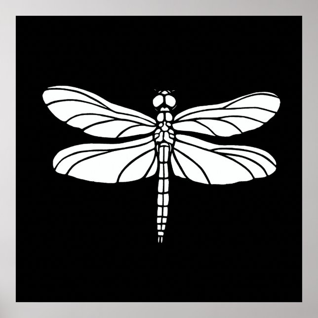 White Dragonfly Poster (Front)