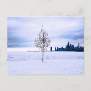 White dream - winter in Chicago, postcard