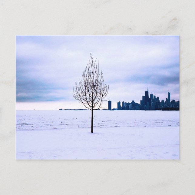 White dream - winter in Chicago, postcard (Front)