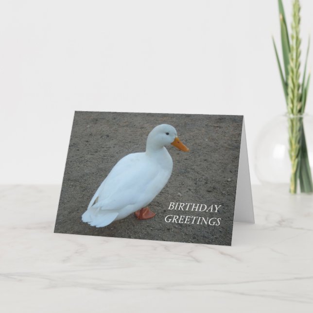 White Duck Birthday Card (Front)
