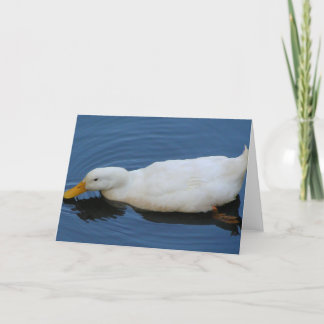 White Duck Card