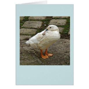 White duck graphic art card
