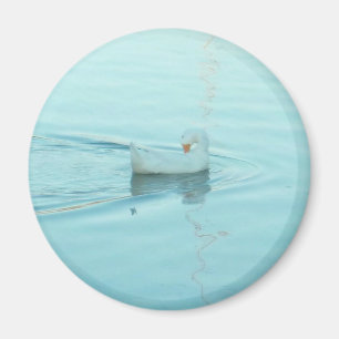 White Duck magnet