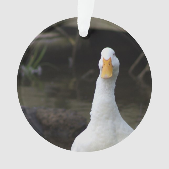 White Duck Ornament  (Front)