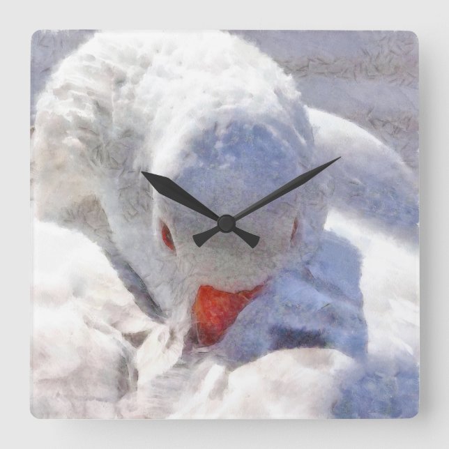 White Duck Preening Art Square Wall Clock (Front)