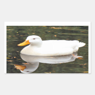 White Duck Stickers