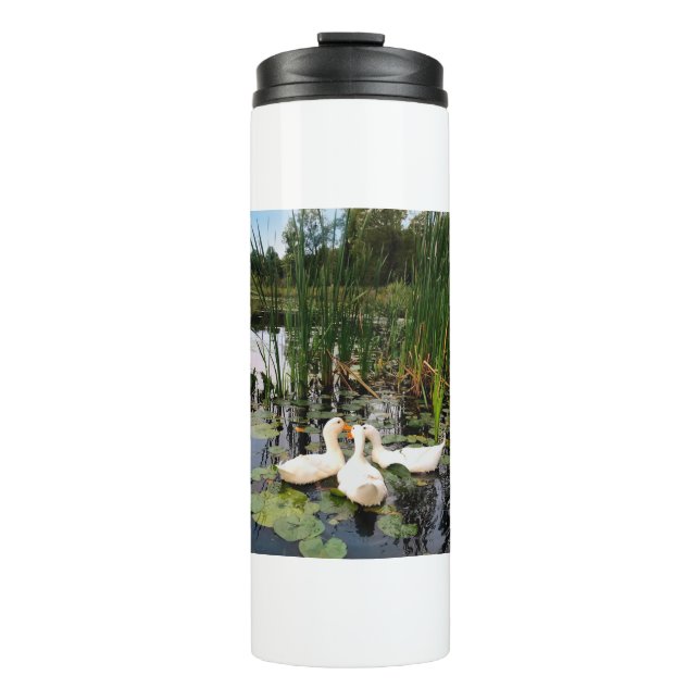 White ducks, lily pads, cattails, lake shore thermal tumbler (Front)