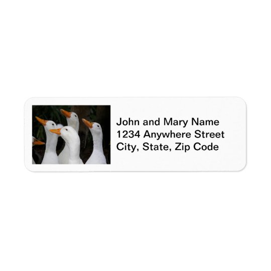 White Ducks Photo Return Address Labels