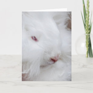 White Easter Bunny  Holiday Card