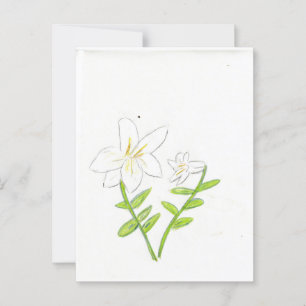 White Easter Lily Postcard