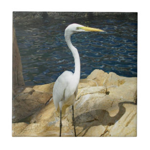 White Egret At The Beach Ceramic Tile
