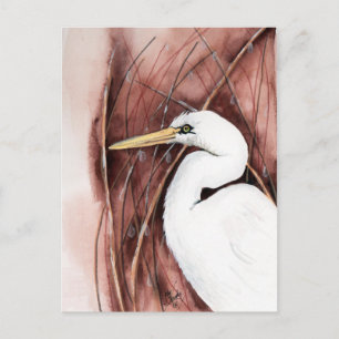 white egret postcard