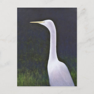 White Egret Postcard