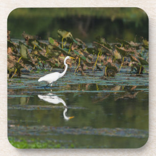 White Egret Reflection Coaster