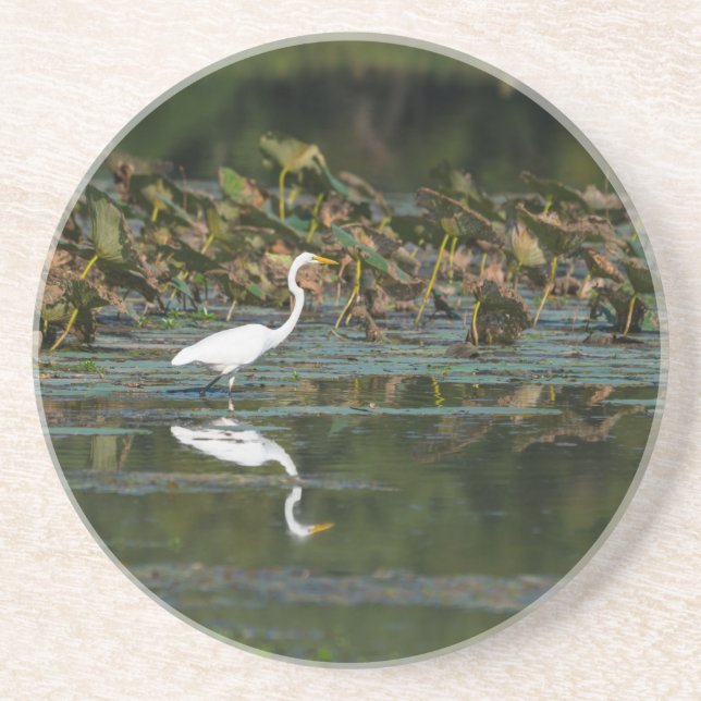 White Egret Reflection Coaster (Front)