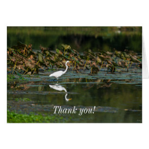 White Egret Reflection Thank You Card